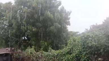 అసిఫాబాద్: రెబ్బెనలో మండలంలో మోస్తారు వర్షం..