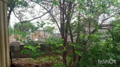 सारंगढ़: 5 साल बाद भी महिला सुरक्षा कर्मी का आवास अधूरा, बुनियादी सुविधाओं के अभाव में रहने को मजबूर