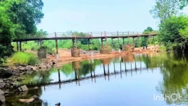नारायणपुर: अबूझमाड़ में बदली तस्वीर: जहां बरसात में कट जाता था संपर्क, वहां अब झूलता पुल बना विकास का सेतु