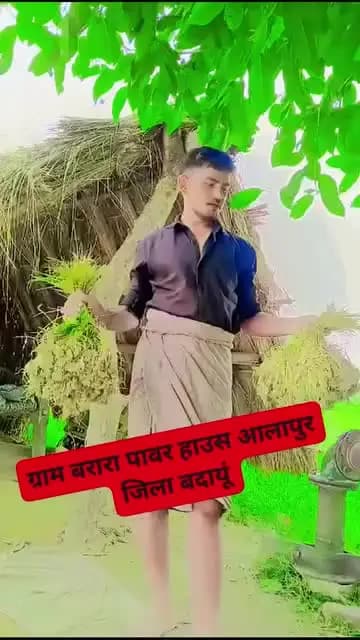 जिला बदायूं उत्तर प्रदेश की ताज़ा ख़बर 10/7/2026 अलापुर थाना अलापुर के बरारा मे पवार न आने करड़ धन की पौध सुख गई अनेक