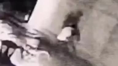 रोहतक: रोहतक जिले के मडोधि गांव में बच्चों की आपसी लड़ाई में 10 साल के बच्चे को सड़क पर पटका, सीसीटीवी आया सामने।