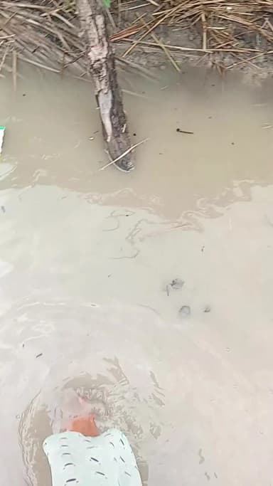 यह हमारे गांव ओझा मठिया 14 नंबर वार्ड की है सड़क जाम हो जाने के कारण पानी लाग जा रहा है
