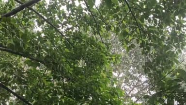 କଣ୍ଟାବାଞ୍ଜି: ବଙ୍ଗୋମୁଣ୍ଡାରେ ସର୍ବାଧିକ ବର୍ଷା କଣ୍ଟାବାଞ୍ଜି ଉପଖଣ୍ଡରେ ବଢ଼ିଲା ବର୍ଷାର ପ୍ରକୋପ
