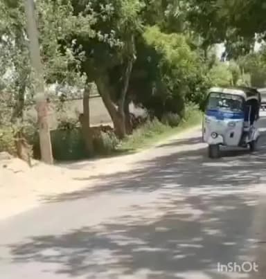 एत्मादपुर: एत्माद्दौला में ऑटो से स्टंटबाजी पड़ी भारी, वायरल वीडियो पर संज्ञान लेकर यातायात पुलिस ने चालक का ₹5000 का चालान किया