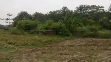 शिवहर: सीतामढ़ी में सर्वाइकल कैंसर से बचाव को लेकर जागरूकता कार्यक्रम, वैक्सीन अभियान की हुई लॉन्चिंग