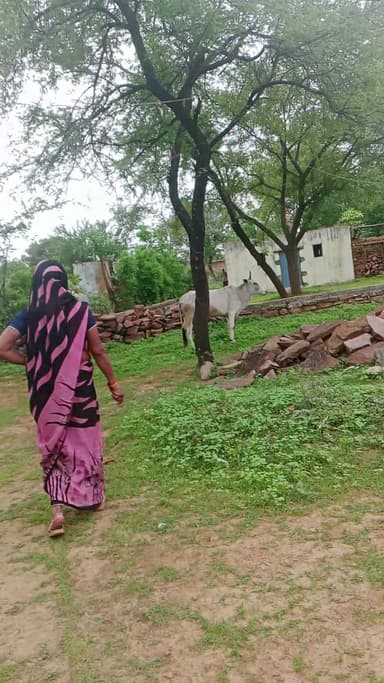 हटा मडियादो इंदिरा आवास कॉलोनी
