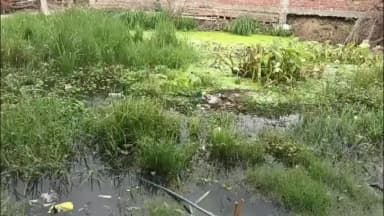 चेवाड़ा: अंगपुर गांव में नाले का निकास बंद होने से जलजमाव, ग्रामीणों को बीमारी फैलने की आशंका