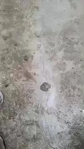 जनता के टैक्स का पैसा कहां जा रहा है गढ़ों में या पीडब्ल्यूडी के अधिकारियों की जेब में , ग्राम तीतरा में डाल रहा है रोड#