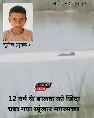 बहराइच लाइव मगरमच्छ बच्चे को खा रहा है