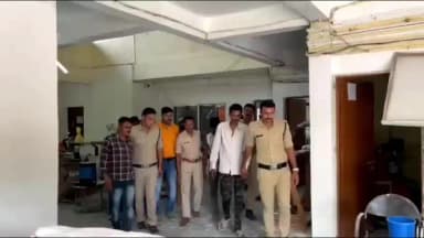 महिदपुर: 30 लीटर जहरीली शराब मामले में बड़ा खुलासा, भैंस चोरी कबूली; ढाई लाख की दो भैंस व एक पाड़ी बरामद