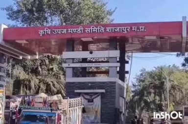 शाजापुर: शाजापुर कृषि उपज मंडी में 14,913 क्विंटल कृषि उपज की आवक, सोयाबीन 7,340 और लहसुन 9,000 रुपये प्रति क्विंटल तक बिका