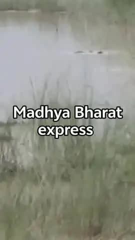 बहराइच में मगरमच्छ 12 साल के बच्चे क़ो जिन्दा खा गया l बच्चा धान रोपाई के बाद नदी में हाथ–पैर धोने गया था। तभी अचानक किया