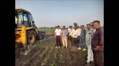 नीमच नगर: मानसून के लंबे खिंचाव के बीच, कृषि विभाग ने किसानों को दी अहम सलाह