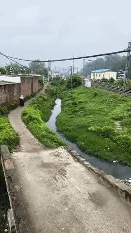 bisalpur me mohalla Habibullah khan junubi ward number 9 me nagarpalika road nahi banwa rhi na nale ki safai ho rhi h