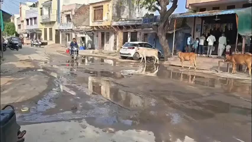 जहाज़पुर: पंडेर कस्बे में पानी की पाइपलाइन लीकेज, रोज हजारों लीटर पानी बर्बाद#jan samasya