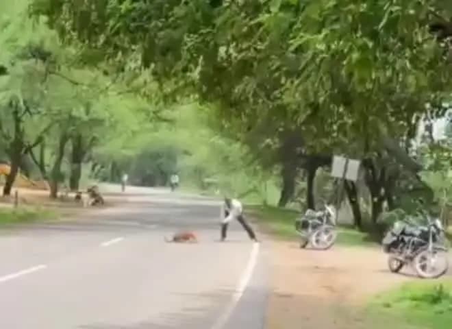 ललितपुर: नेहरूनगर जुगपुरा क्षेत्र में एक व्यक्ति ने बेजुबान जानवर को बेरहमी से पीटा, वीडियो वायरल होने से लोगों में आक्रोश