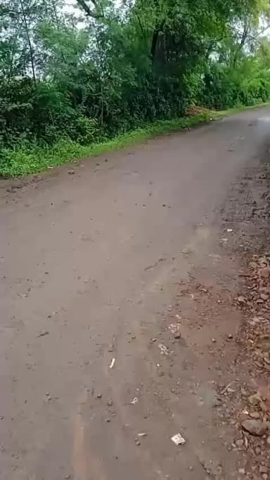 पाटन के ग्राम पंचायत पथरौरा का मामला महीनों से खुदी पड़ी सड़क आने जाने बालों को करना पड़ रहा भारी दिक्कतों का सामना