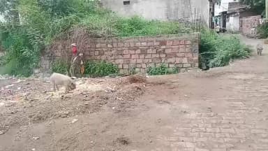 जिला -झालावाड़, तहसील -अकलेरा ग्राम गेहूंखेरी मै अत्यधिक गन्दगी फेली हुई है, नाले गन्दगी से भरे गए है!
सरकार दयान दे! 🙏