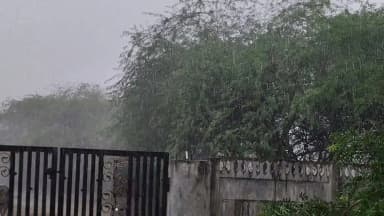 అసిఫాబాద్: సిర్పూర్ యు మండలంలో అత్యధికంగా 101.8 మిల్లీమీటర్ల వర్షపాతం నమోదు