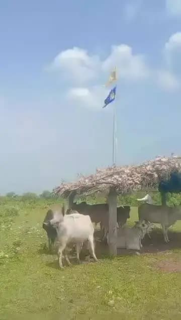gau aashram Devraj Singh