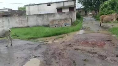yah shasakiy school ki pahchan hai iski marmmat kabhi nahin Hoti yahan ki suvidha video mein dikhai de rahi hai