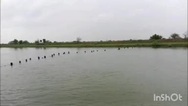 कुलपहाड़: नहाते समय अर्जुन सहायक परियोजना नहर में बहा 19 वर्षीय युवक, चार घंटे बाद भी नहीं मिला कोई सुराग