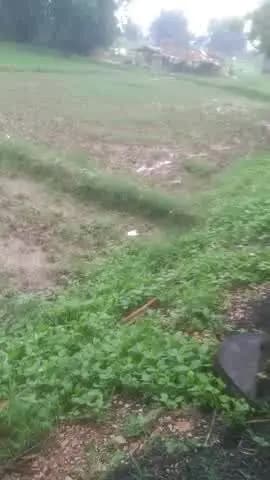 up 64 shahagnj sonabhadra me barish