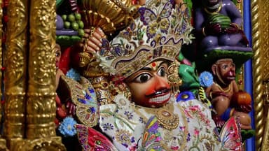 બોટાદ શહેર: સાળંગપુર શ્રીકષ્ટભંજનદેવને દિવ્ય 'બટરફ્લાય થીમ'ના વાઘાનો શણગાર અને ફળોનો અન્નકૂટ ધરાવાયો