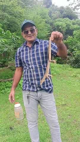 जंगल में सुरक्षित छोड़ा गया मॉनिटर लिर्जड गोयरा हफीज कुरैशी सर्प मित्र विदिशा ☎️ 8770178085☎️