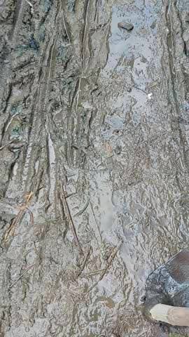 bthnaha tola bhusulva ka hai