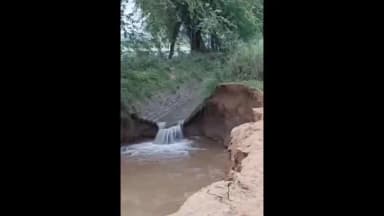 सिरसा: चोपटा क्षेत्र के गांव निर्बाण के पास गुडियाखेड़ा माइनर टूटी, आसपास के खेतों में पानी घुसने से फसलें प्रभावित