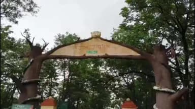 नौगढ़: नौगढ़ में बारिश के बाद राजदरी-देवदरी पर्यटकों की पहली पसंद बना