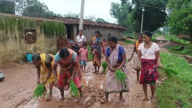 ग्राम पंचायत बकालो का यह रोड है जो नहीं बनने के कारण इसमें रोपा लगाया जा रहा है गांव वाले बहुत गुस्सा में है ।