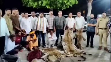 खेरागढ़: सैयां में वाइल्डलाइफ एसओएस और पुलिस की बड़ी कार्रवाई, 10 तेंदुए की खाल के साथ 4 तस्कर गिरफ्तार