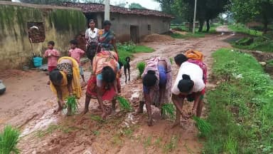 ग्राम पंचायत बकालो वार्ड क्रमांक 12 यह सड़क है