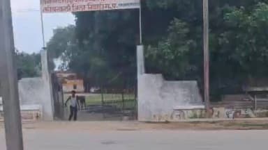 निवाड़ी: तरीचर कला के सरकारी स्कूल में बच्चों की जगह मवेशियों का डेरा वीडियो वायरल