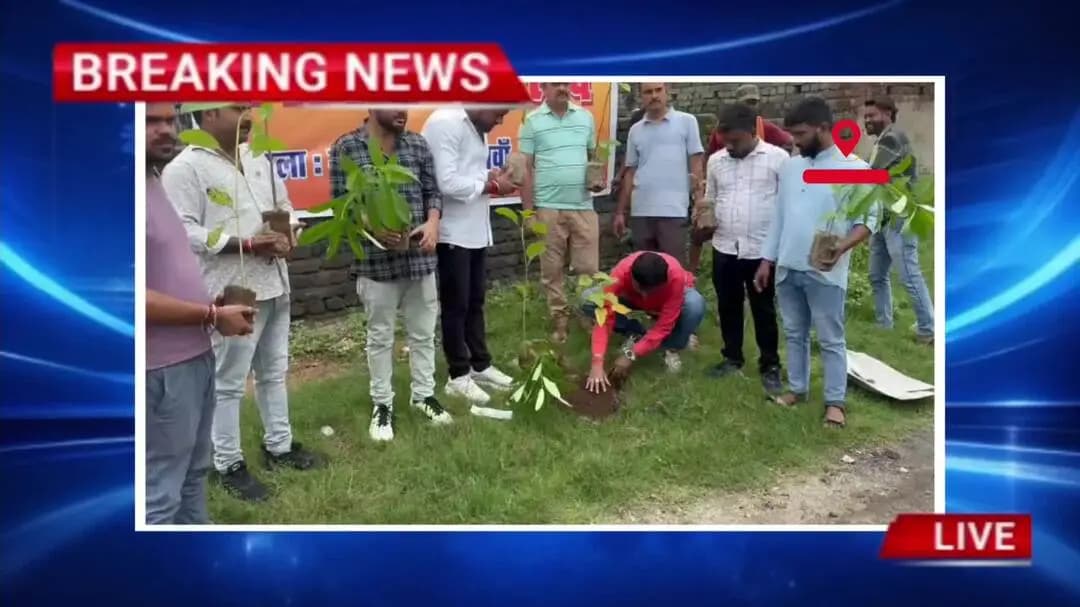 गम्हरिया में विश्व हिंदू परिषद(विहिप) का हरित अभियान, 101 पौधे लगाकर पर्यावरण संरक्षण का लिया संकल्प
#news#