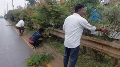 फरसगांव: न सरकार का इंतजार, न किसी आदेश की जरूरत—फरसगांव के युवाओं ने श्रमदान कर संभाली शहर की हरियाली की जिम्मेदारी