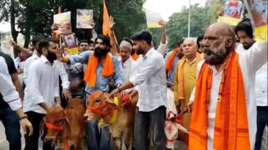 जगाधरी: यमुनानगर जिला सचिवालय: गो सम्मान अभियान के प्रतिनिधि गाय लेकर पहुंचे, प्रधानमंत्री के नाम जिला प्रशासन को सौंपा ज्ञापन