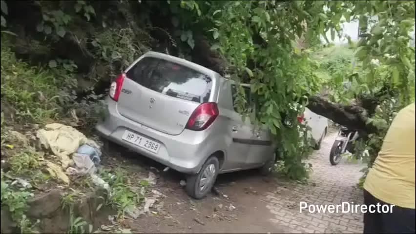 नाहन: नाहन के कच्चा टैंक में सड़क पर गिरा विशाल पेड़, कार हुई क्षतिग्रस्त, घंटों बाधित रही आवाजाही