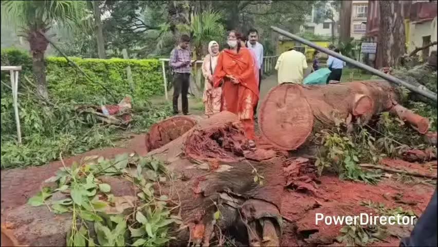 नाहन: नाहन शहर में खतरा बन रहे पेड़ों को किया जाएगा चिन्हित, कटाई व ट्रिमिंग के लिए प्रशासन से होगी चर्चा