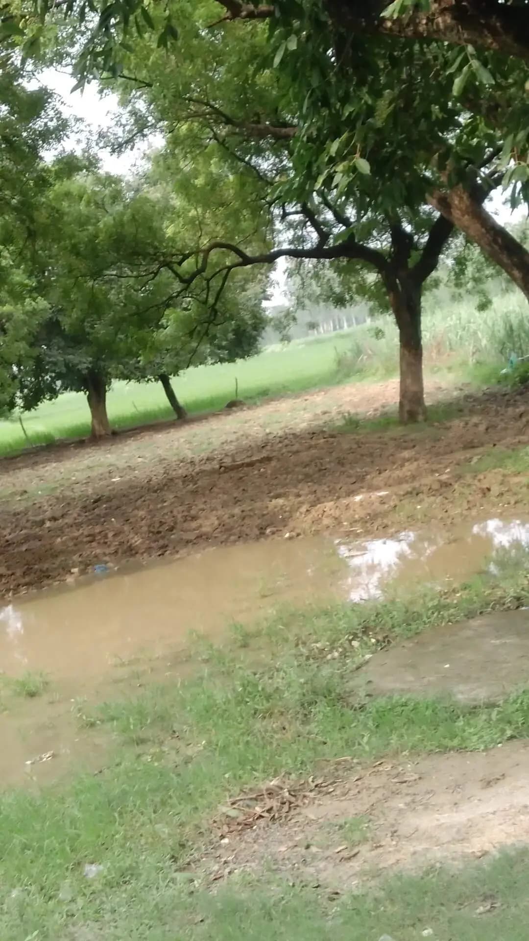jila Sitapur thana kamlapur
@sujeet00764