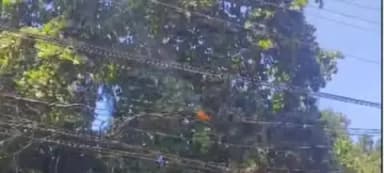 തിരുവനന്തപുരം: വെങ്ങാനൂരിൽ ഇലക്ട്രിക് പോസ്റ്റുകളിലെ കേബിളുകൾക്ക് തീപിടിച്ചു