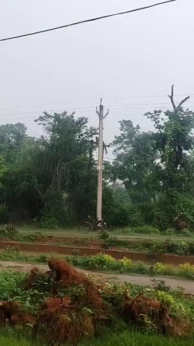 kartik mahato pani gir rehe firvi kam kar raha h