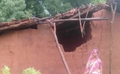 बोलबा: बोलबा के समसेरा पंचायत में जंगली हाथियों ने कई घरों को बनाया निशाना मुखिया ने जाना हाल-चाल
