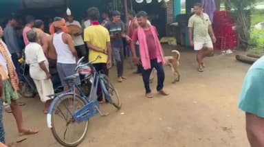 ବୌଦ୍ଧ ସଦର: ଚମ୍ପାପୁର ଗ୍ରାମ ନିକଟରୁ ଉଦ୍ଧାର ମାଇ କୁଟୁରାକୁ ପୋଢହଳ ଜଙ୍ଗଲରେ ଛାଡିଲା ବନ ବିଭାଗ