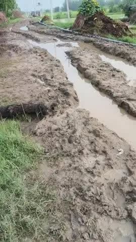 अप 24 जिला बदायूं ग्राम रायपुर घर पेटी वाले रास्ते पर कितना खींच है##