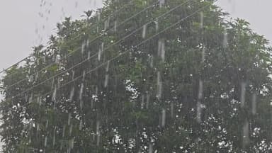 देवभोग: बारिश से किसानों को खुशी, लेकिन 108 गांवों में बिजली आपूर्ति बाधित