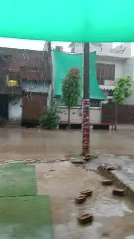 आज तिजारा में महाराज इन्द्रदेव प्रसन्न हुए बारिश की पहली झलक लोगो में खुशी की राहत