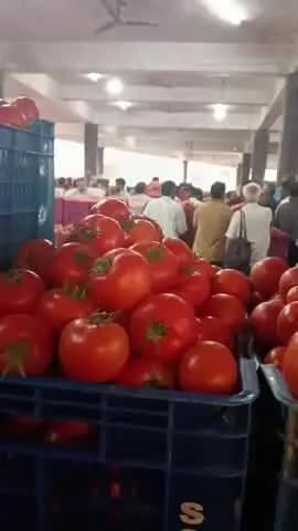सोलन: किसान का सवाल: जब टमाटर में मंदी है, तो बाजार में महंगा क्यों? आम आदमी को मंदी का लाभ मिले